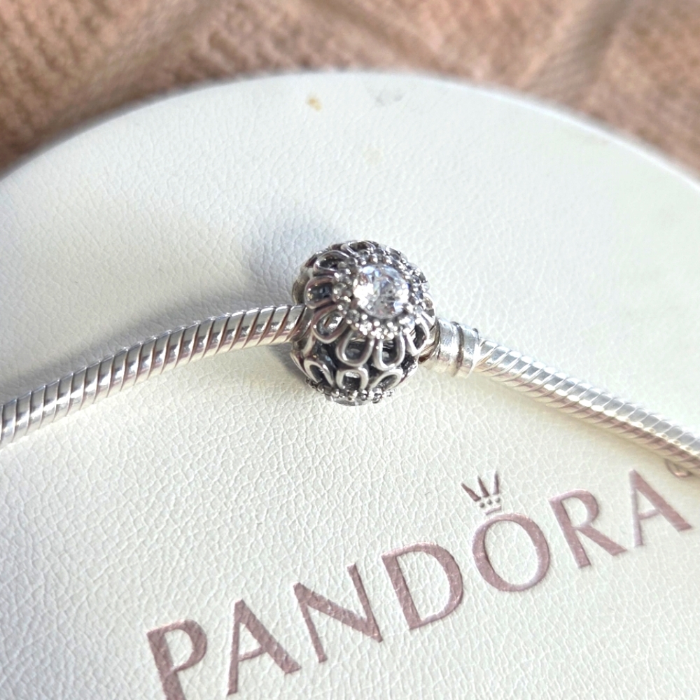 Pandora Charm